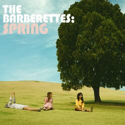 Spring, Bear