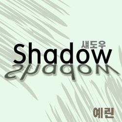 Shadow