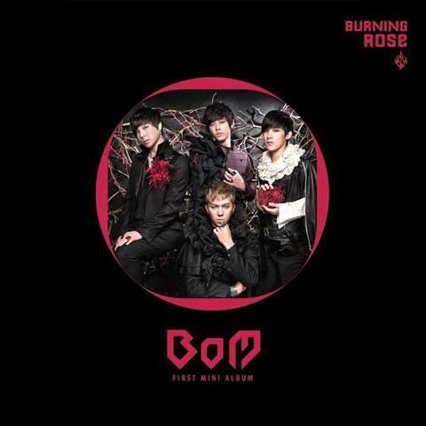 Burning Rose