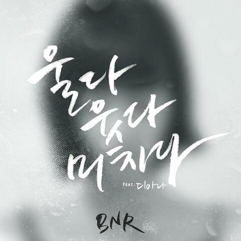 울다 웃다 미치다 (feat. 디아나)
