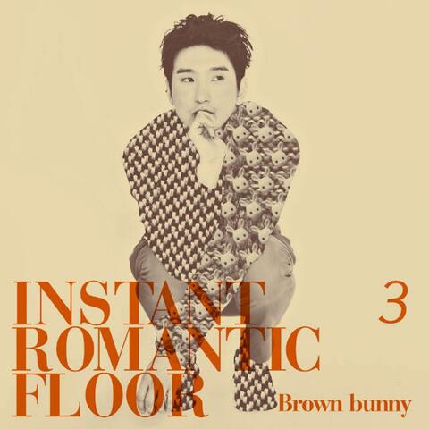 #3. Brown bunny