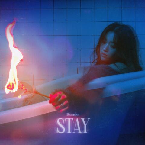 STAY