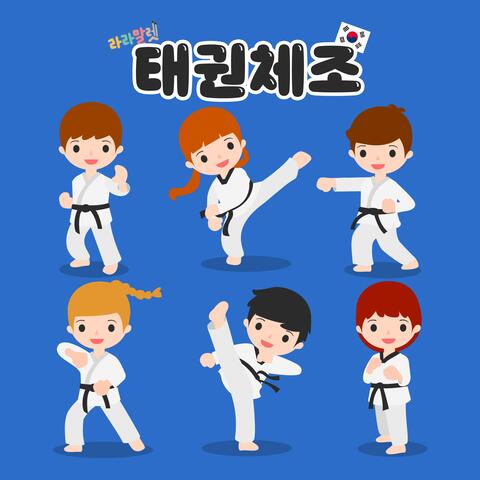 Taekwondo power