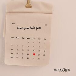 Love You Like Fate
