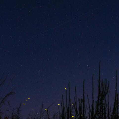 오늘 하루 끝에서