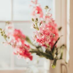 마음을 헤아리다