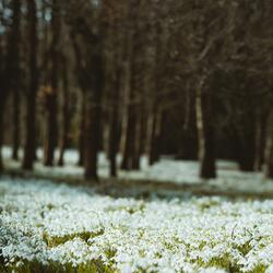 너를 볼때마다 난
