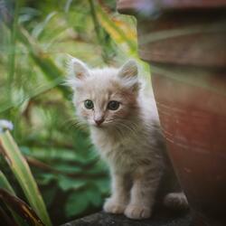 그 마음 여전한걸