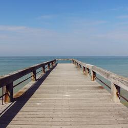 기나긴 여정 끝