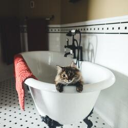 겨울, 그 따뜻한