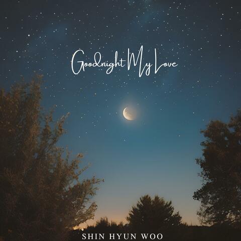 Good night, my love
