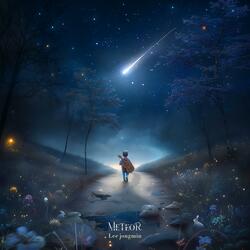 METEOR