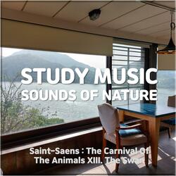Study music (Reading Room White Noise Machine Sound Ver.)