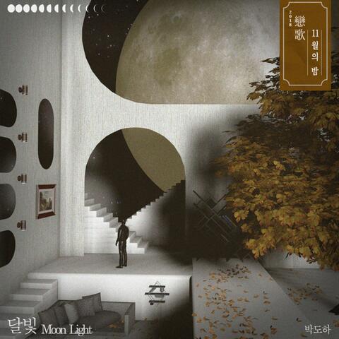 2018 The Night of November 'Moonlight'