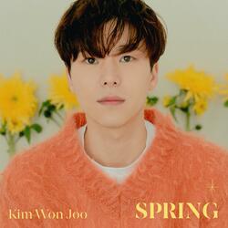 Spring (Feat. MC MONG)