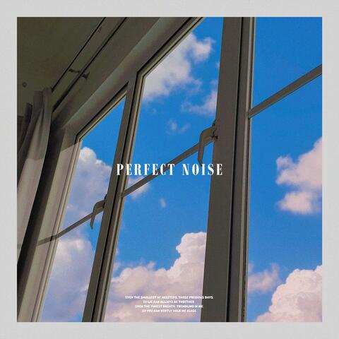 perfect noise
