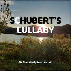 Schubert's lullaby (The sound of grasshoppers ver.)