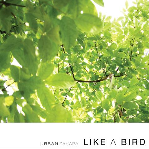 Like A Bird