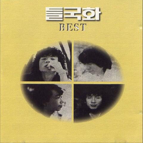 들국화 베스트