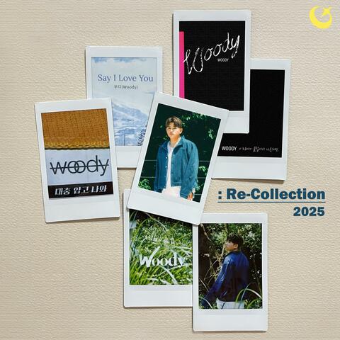 Woody : Re-Collection