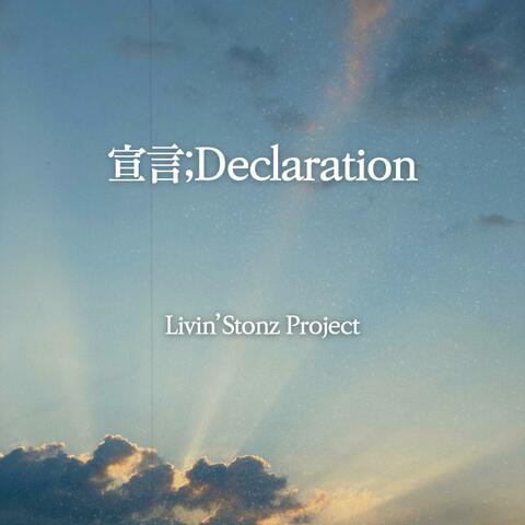 Declaration