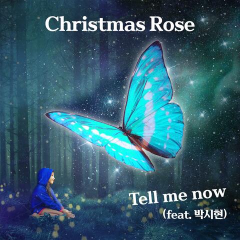 Tell me now