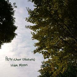 Petrichor