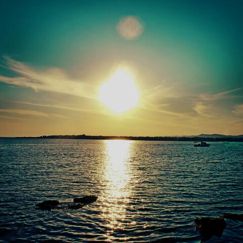 summer night