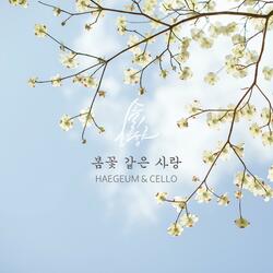 Love like Spring Flowers