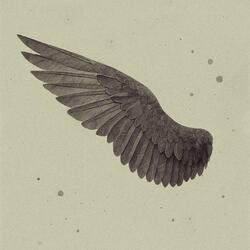 wing