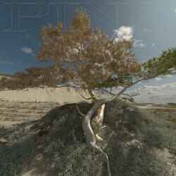 Scar (Feat. Seol Ho Seung)