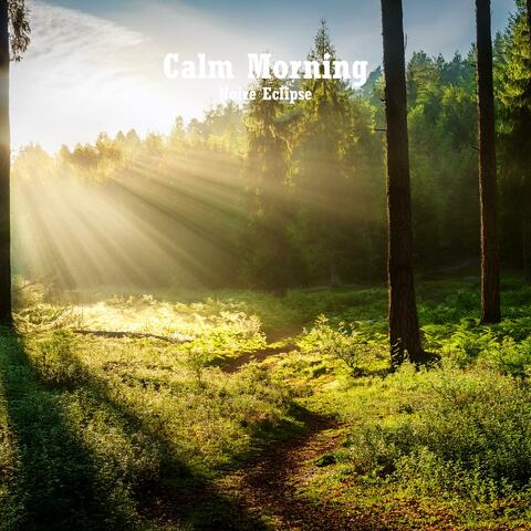 Calm Morning