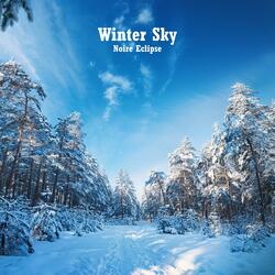 Winter Sky