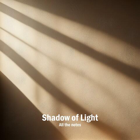 Shadow of Light