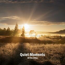 Silent Reflections