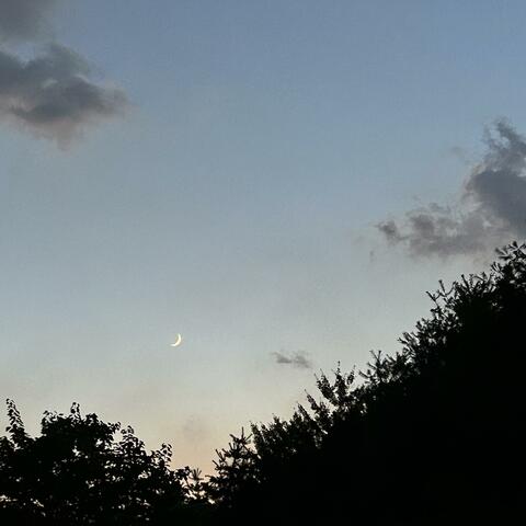 Dancer Piano Vol. 7 - Longing