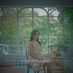 Why did we love (2025)