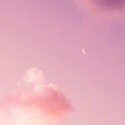 조용한 새벽의 잔잔한 노래