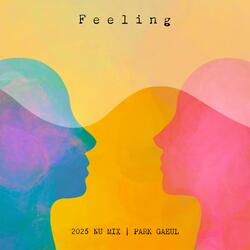 Feeling (feat. Lee Soo-In)