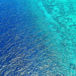 Prenatal education given by the sea