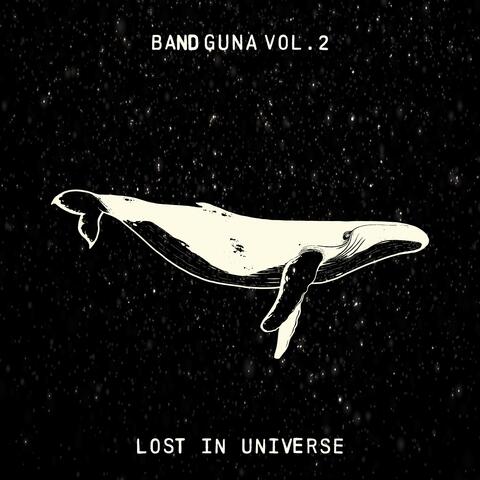 Lost in Universe