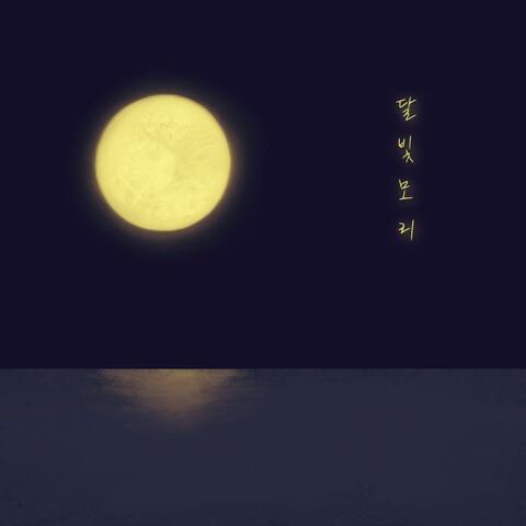 Moonlight drive