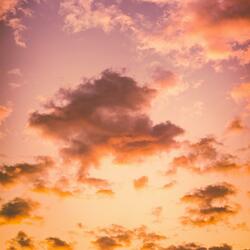 You were my happiness