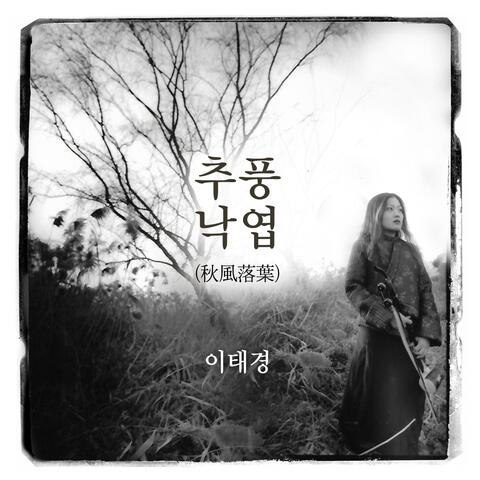 이태경의 해금: 추풍낙엽