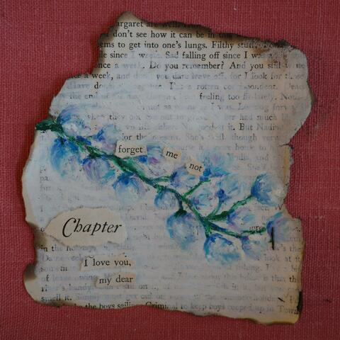 Forget-me-not