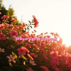 When Spring Comes