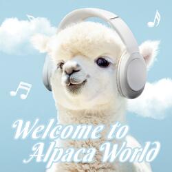 WELCOME TO ALPACA WORLD