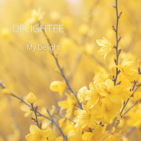 My Delight