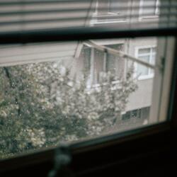 When the Cold Wind Blows