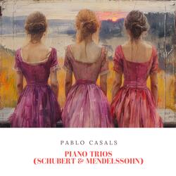 Piano Trio No. 1 in D Minor, Op. 49, MWV Q29: IV. Finale. Allegro assai appassionato